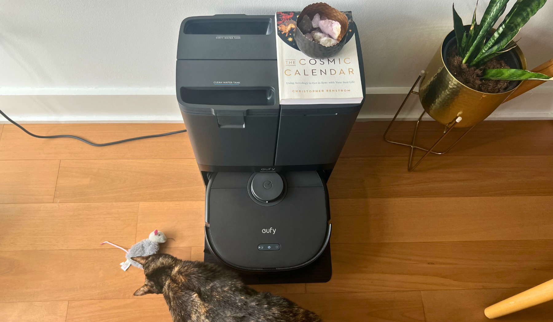 Eufy robot vacuum on self-empty dock sitting against wall behind cat sniffing toy