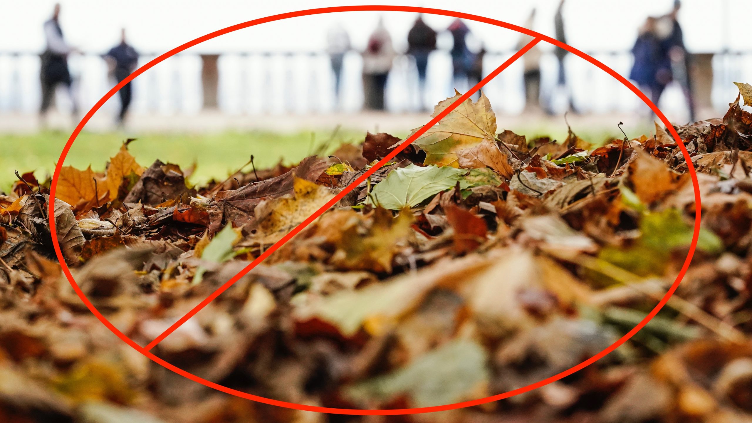 photo people standing in front of leaves with a big red circle and crossing out symbol