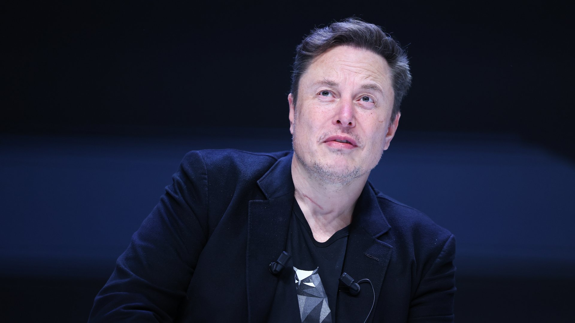 Elon Musk sits onstage at an event.