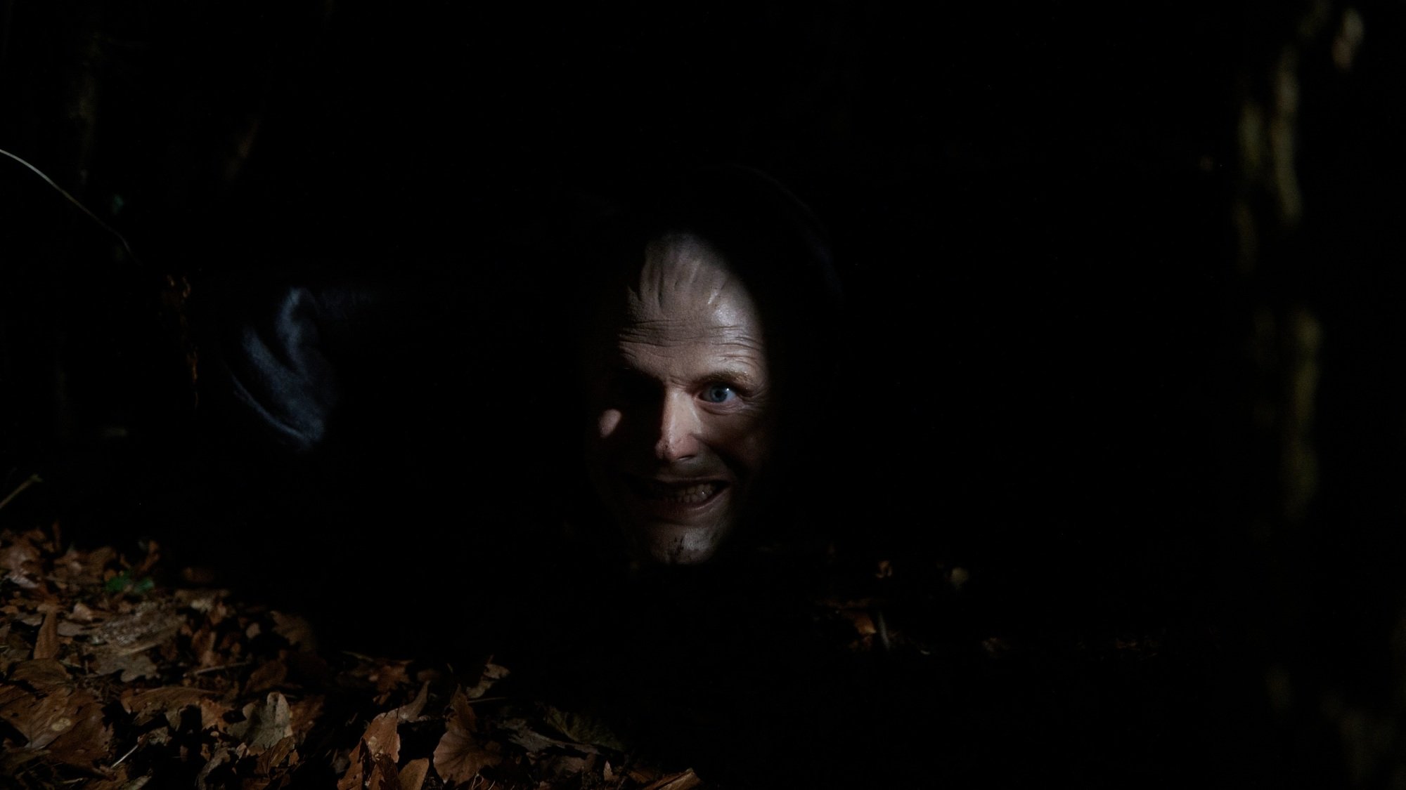 An eerie smiling head peers out of the darkness.