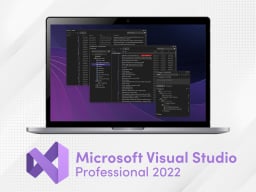 MS Visual Studio