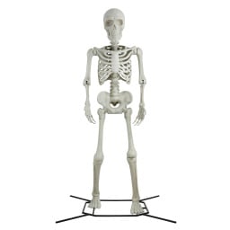 a large, fake skeleton against a white background