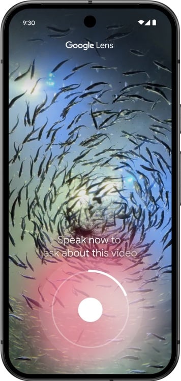 Google Lens tool capturing a video of a school of fish with a prompt to speak to ask a question about the video