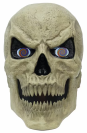 the Standard Skelly Scary Head from home depot