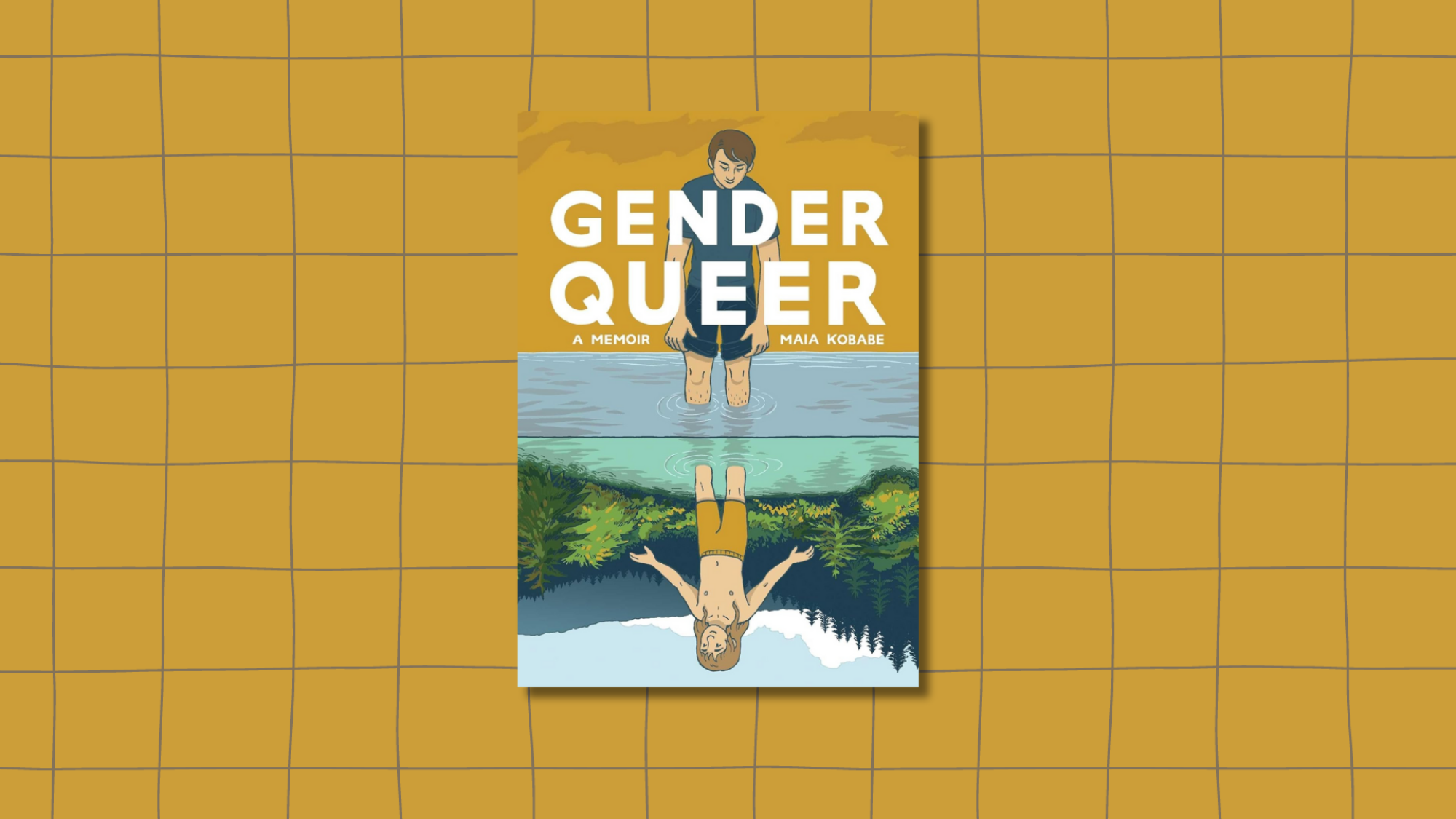 The cover of "Gender Queer" showing a person staring at their reflection, but their reflection is standing in a river in a wood.