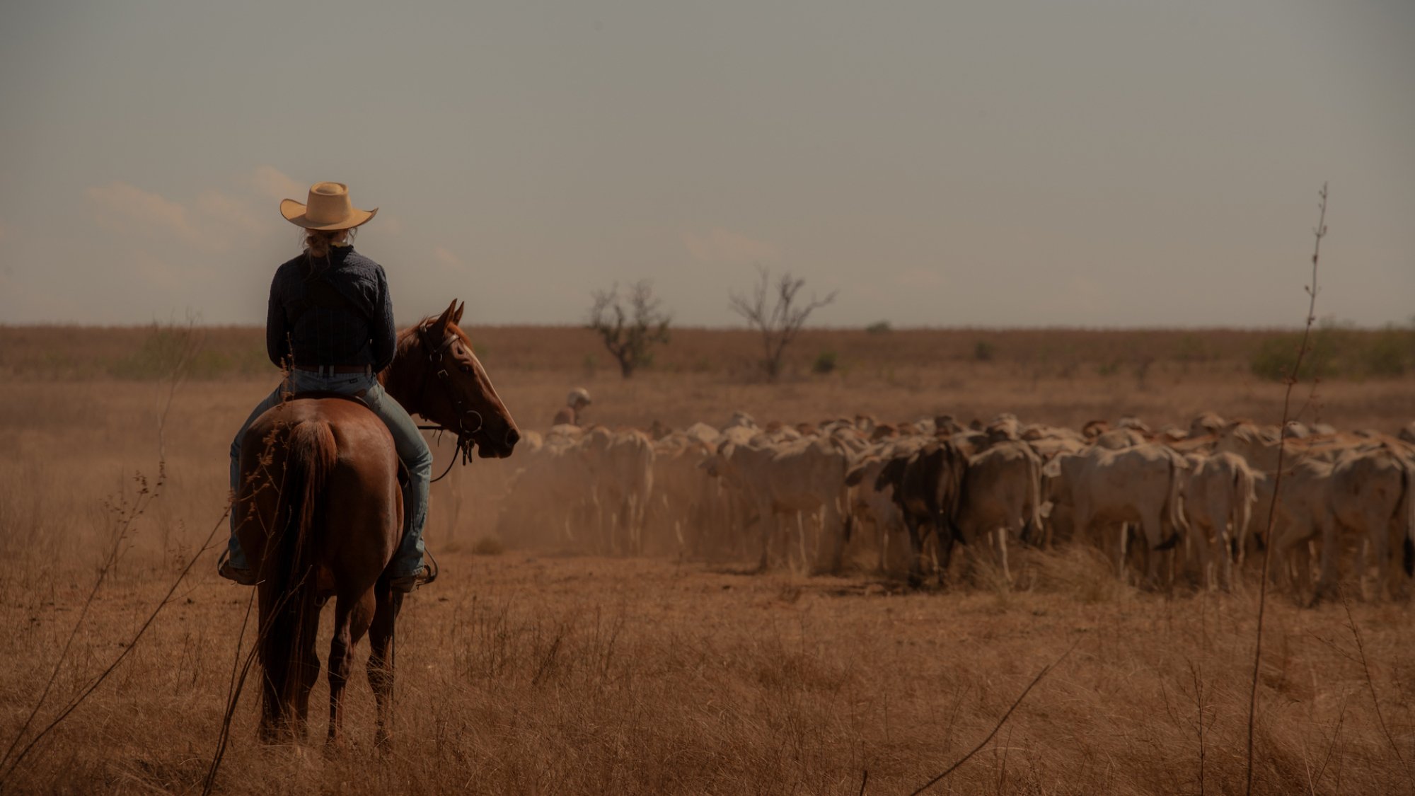 A man rides a horse in the Australian outback,