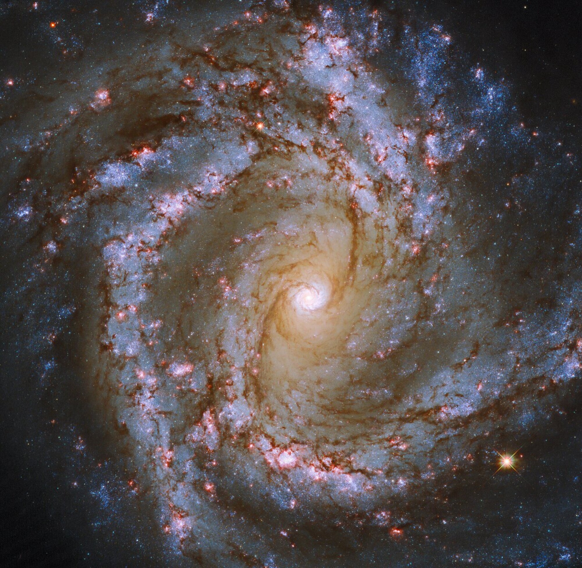 a spiral galaxy