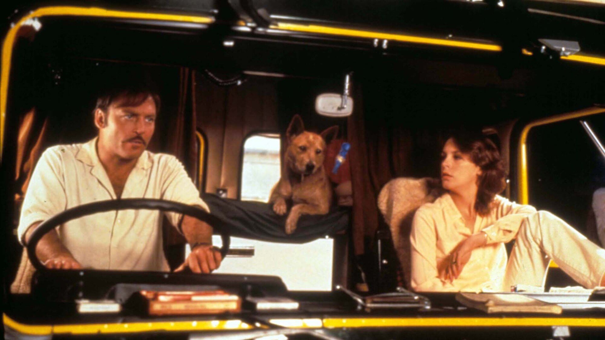 Stacey Keach and Jamie Lee Curtis sit in the cab of a truck with a dingo in the film "Roadgames."