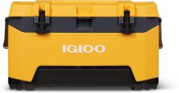 the igloo bma hard cooler in yellow