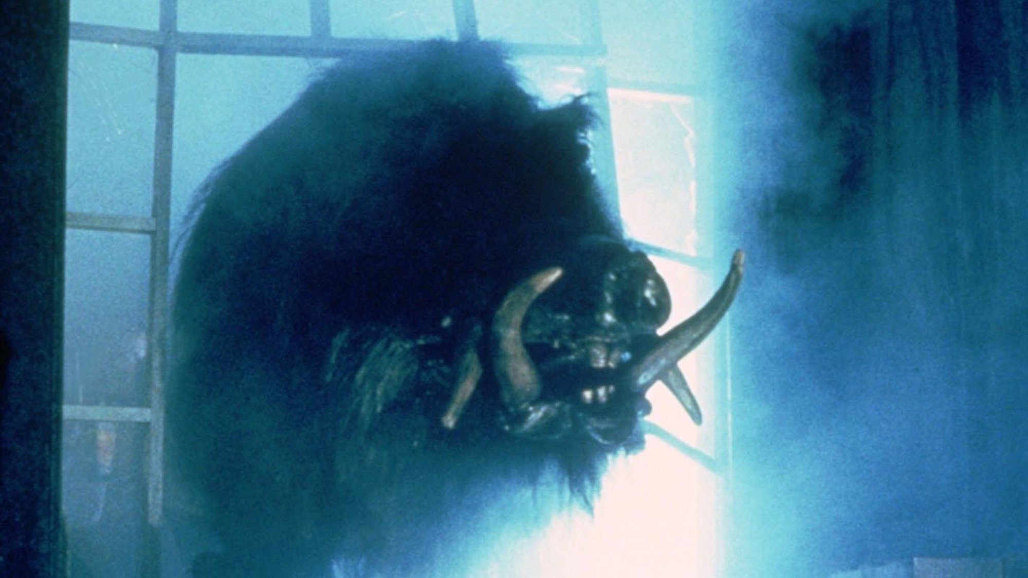 A film still from "Razorback" showing the titular beast with its face through a window.