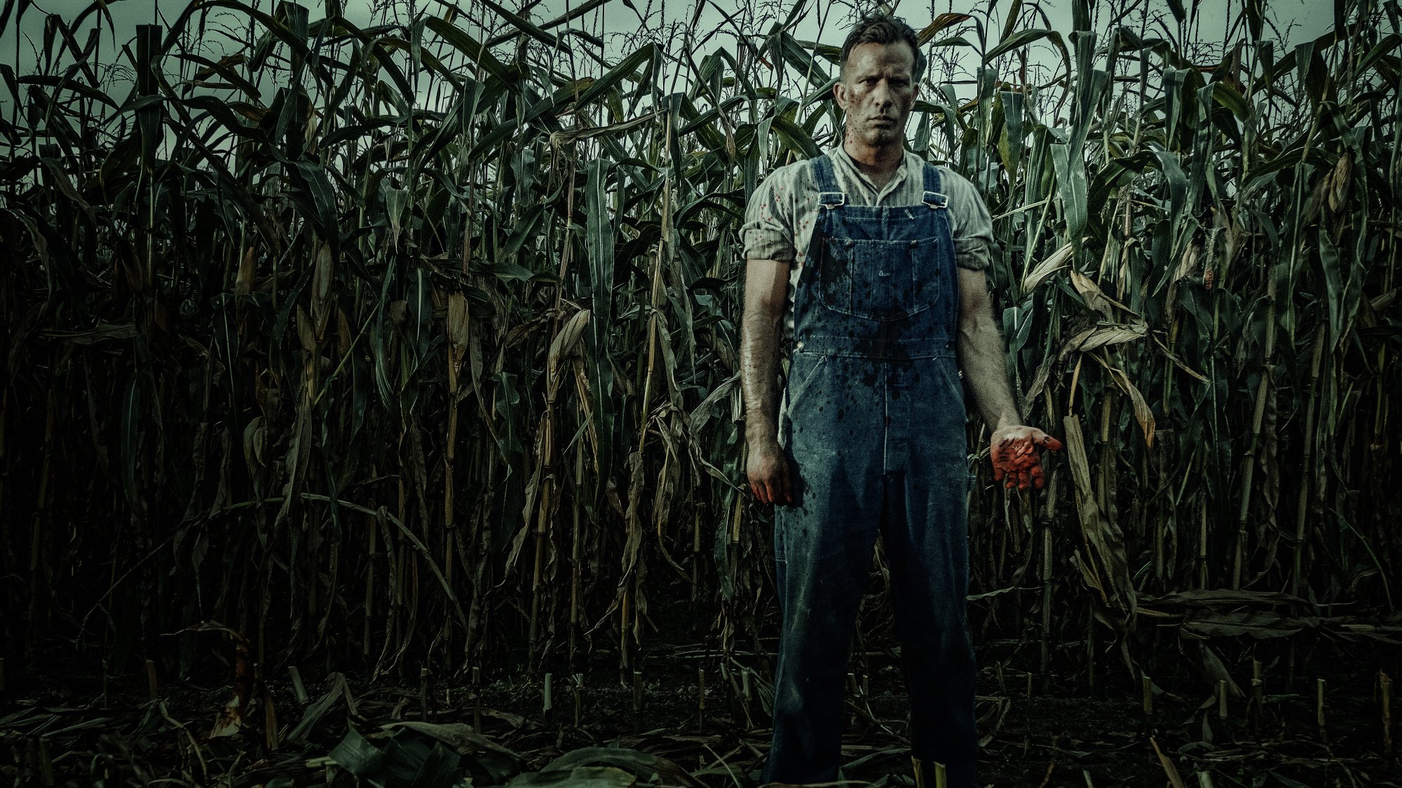 A farmer stands in a corn field. 