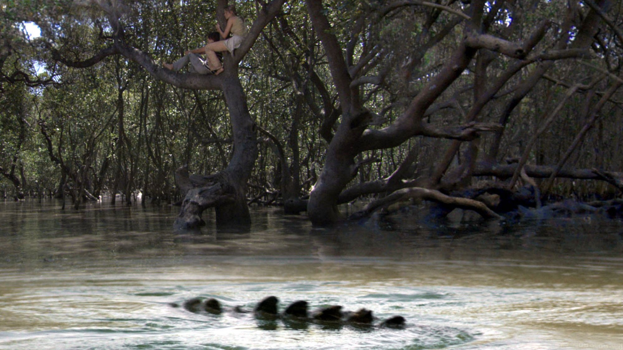 In still from "Black Water" shows a giant crocodile lurking beneath women in a tree.