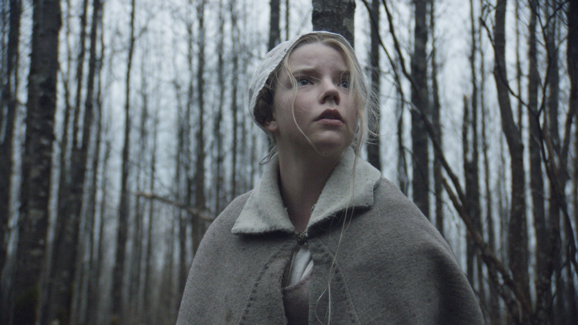 Anya Taylor-Joy in "The Witch."